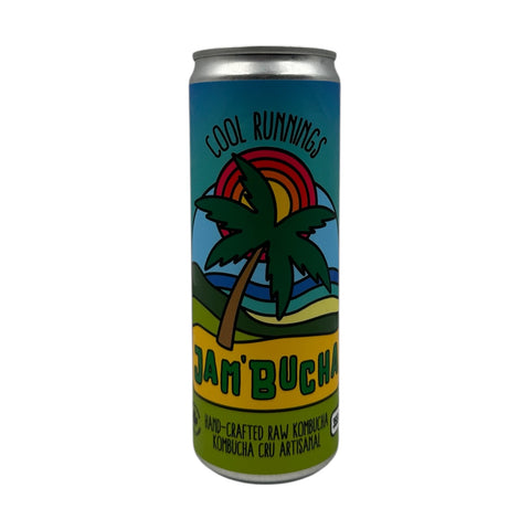 Jam'bucha Kombucha (355ml)