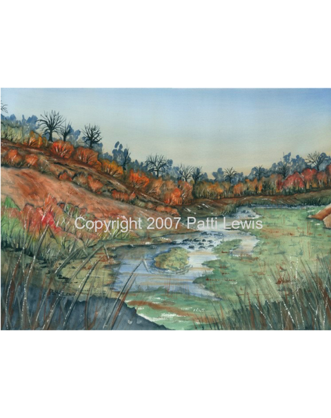 Patti Lewis Art - Framed Art Cards