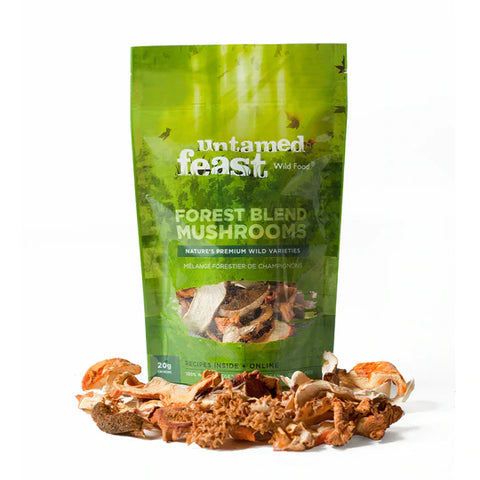 Untamed Feast : Mushrooms and Wild Food
