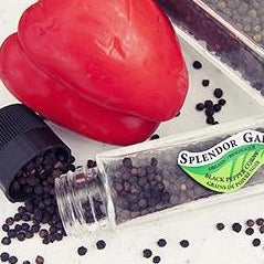 Splendor Garden - Spice Grinder