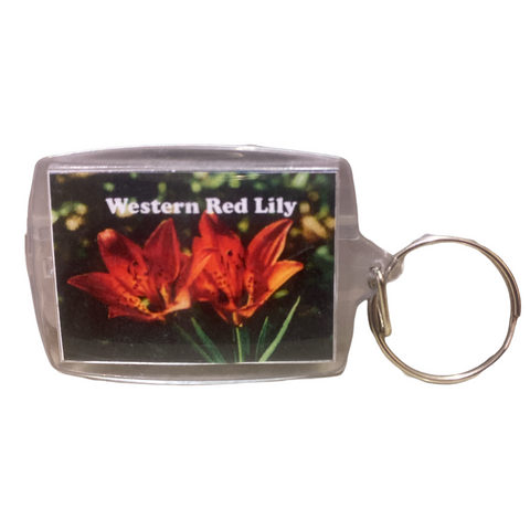D & J Images - Keychain