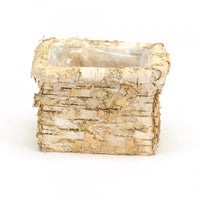 Packaging - Birch Planter