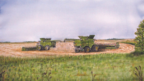 Patti Lewis Art - Framed Prints