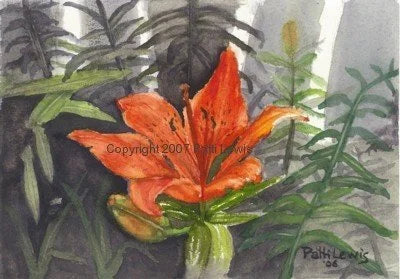 Patti Lewis Art - Framed Prints