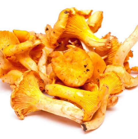 The Makers Way Foraging - Chanterelles (1/2 lbs)
