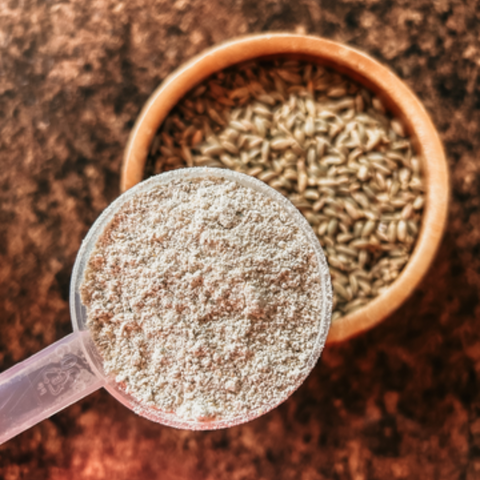 Living Sky Farms - Flour (5lbs)
