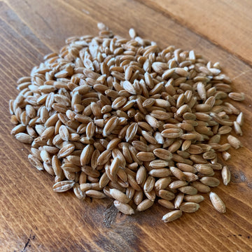 Living Sky Farms - Whole Grain Berries (5lbs)
