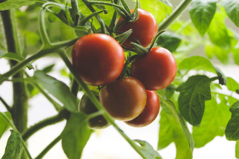 Fresh Produce