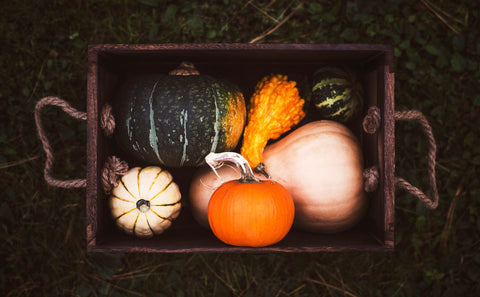 Fall Favourites 🍂