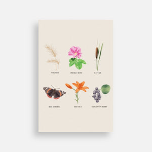 Brooke Nelson Design - Postcard
