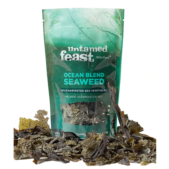 Untamed Feast : Mushrooms and Wild Food