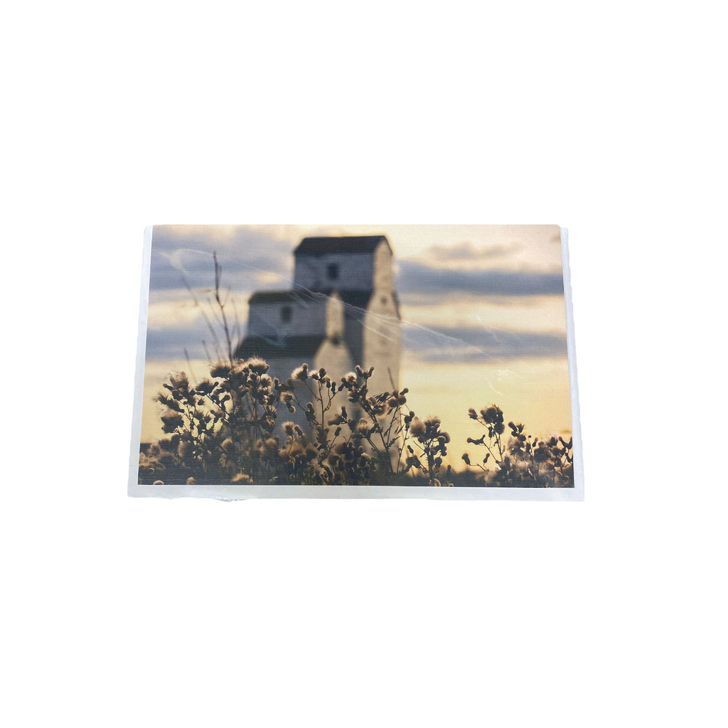 Debra Marshall Photography - Greeting Card