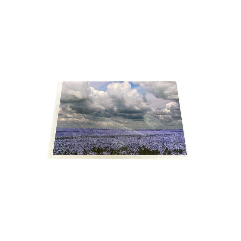 Debra Marshall Photography - Greeting Card