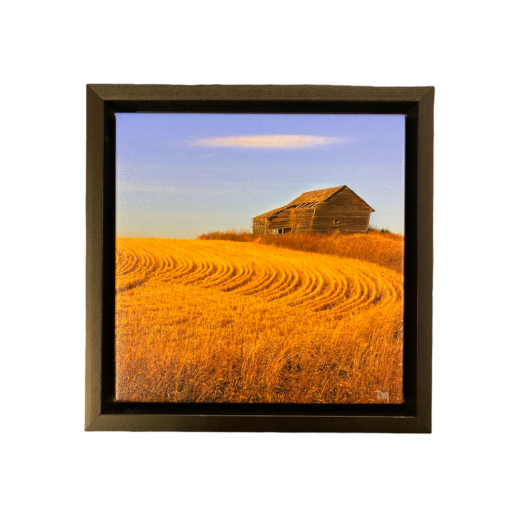 Debra Marshall Photography - Prairie Canvases (8x8)