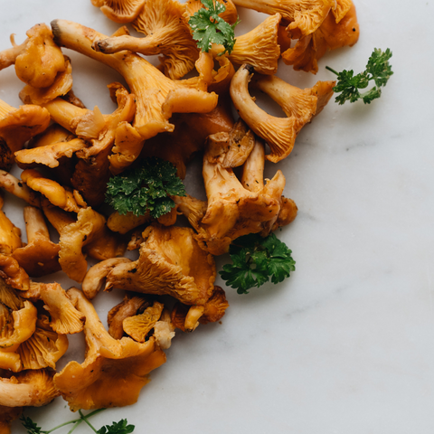 Dried Morel Mushrooms