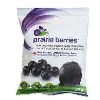 Prairie Berries - Chocolate Covered Saskatoon Berries (30g)