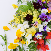 Floating Gardens Greenhouse - Vegetables