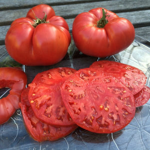 Grandora Gardens - Tomatoes: Beefsteak (454 grams)