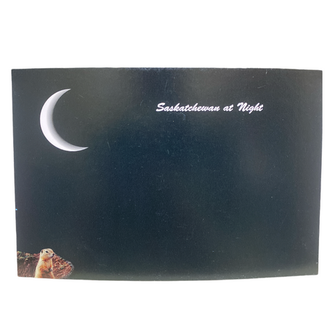 D & J Images - Post Card