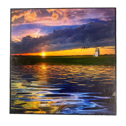 Judy Wood Art - Mounted Photo Print