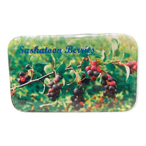 D & J Images -  Magnets