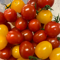 Floating Gardens Greenhouse - Vegetables