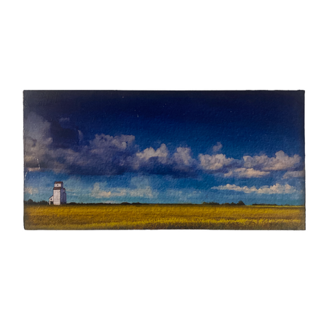 Judy Wood Art - Mounted Photo Print