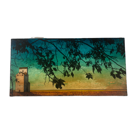 Judy Wood Art - Mounted Photo Print
