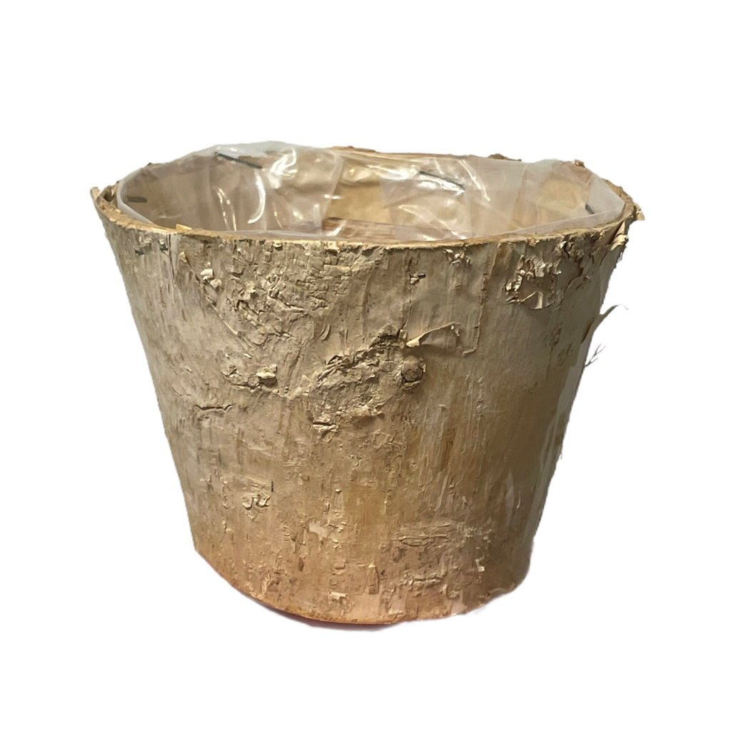 Packaging - Birch Planter