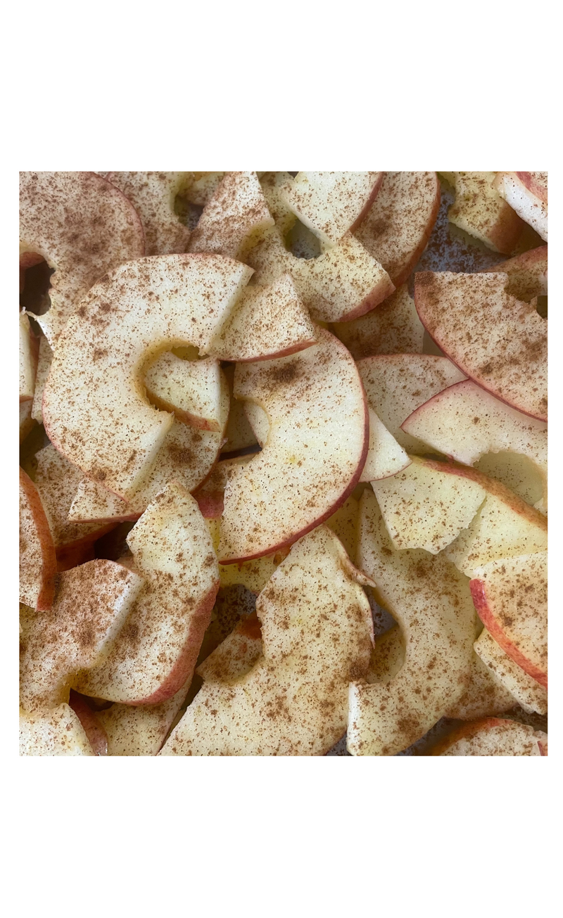 Round Valley Foods - Freeze Dried Fruit