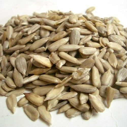 Willow Creek Organics - Organic Seeds: Sunflower Seeds