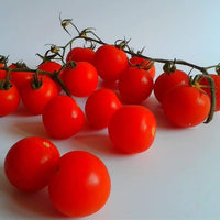 Floating Gardens Greenhouse - Vegetables